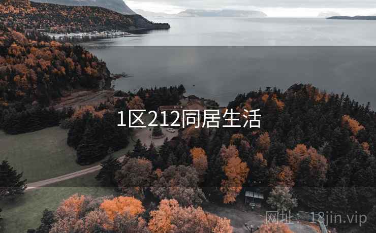 1区212同居生活