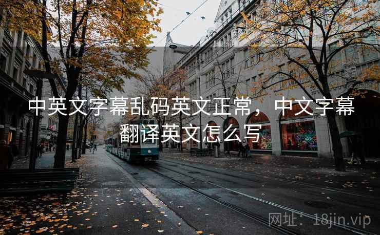 中英文字幕乱码英文正常，中文字幕翻译英文怎么写