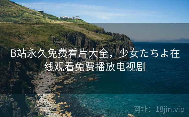 B站永久免费看片大全，少女たちよ在线观看免费播放电视剧