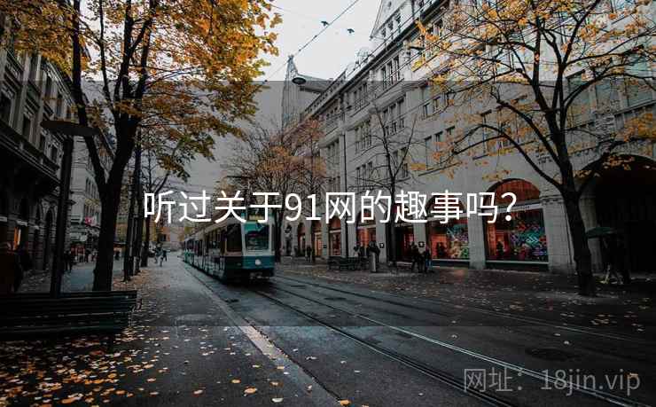 听过关于91网的趣事吗？