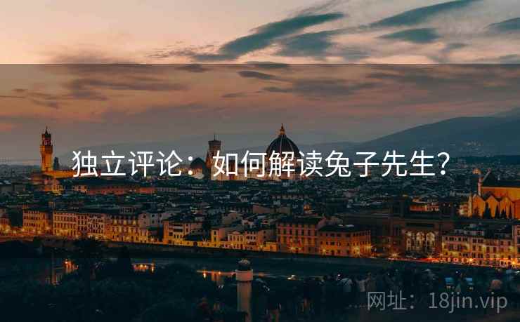 独立评论：如何解读兔子先生？